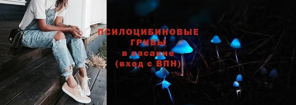 дживик Арсеньев