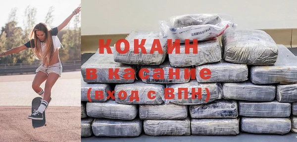 дживик Арсеньев