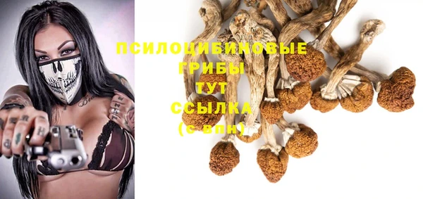 дживик Арсеньев