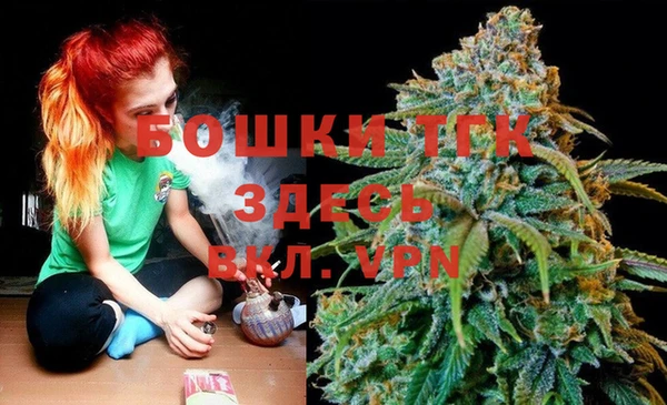 дживик Арсеньев